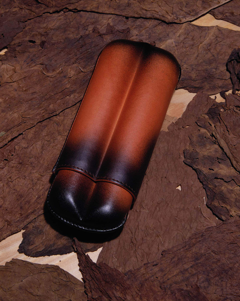 Elie Bleu Patina Leather Cigar Case (2 Cigars)